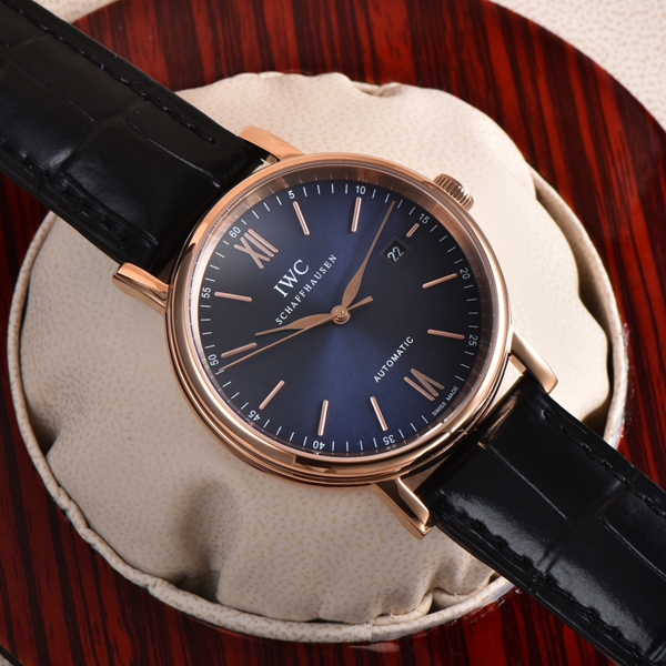 アイ・ダブリュー・シー内部構造